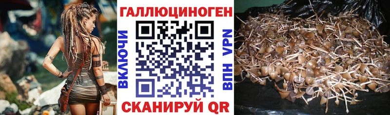 Псилоцибиновые грибы GOLDEN TEACHER где найти наркотики Грязи